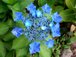 $B%A%c!<%_%s%0%V%k!<%j%s%0(B